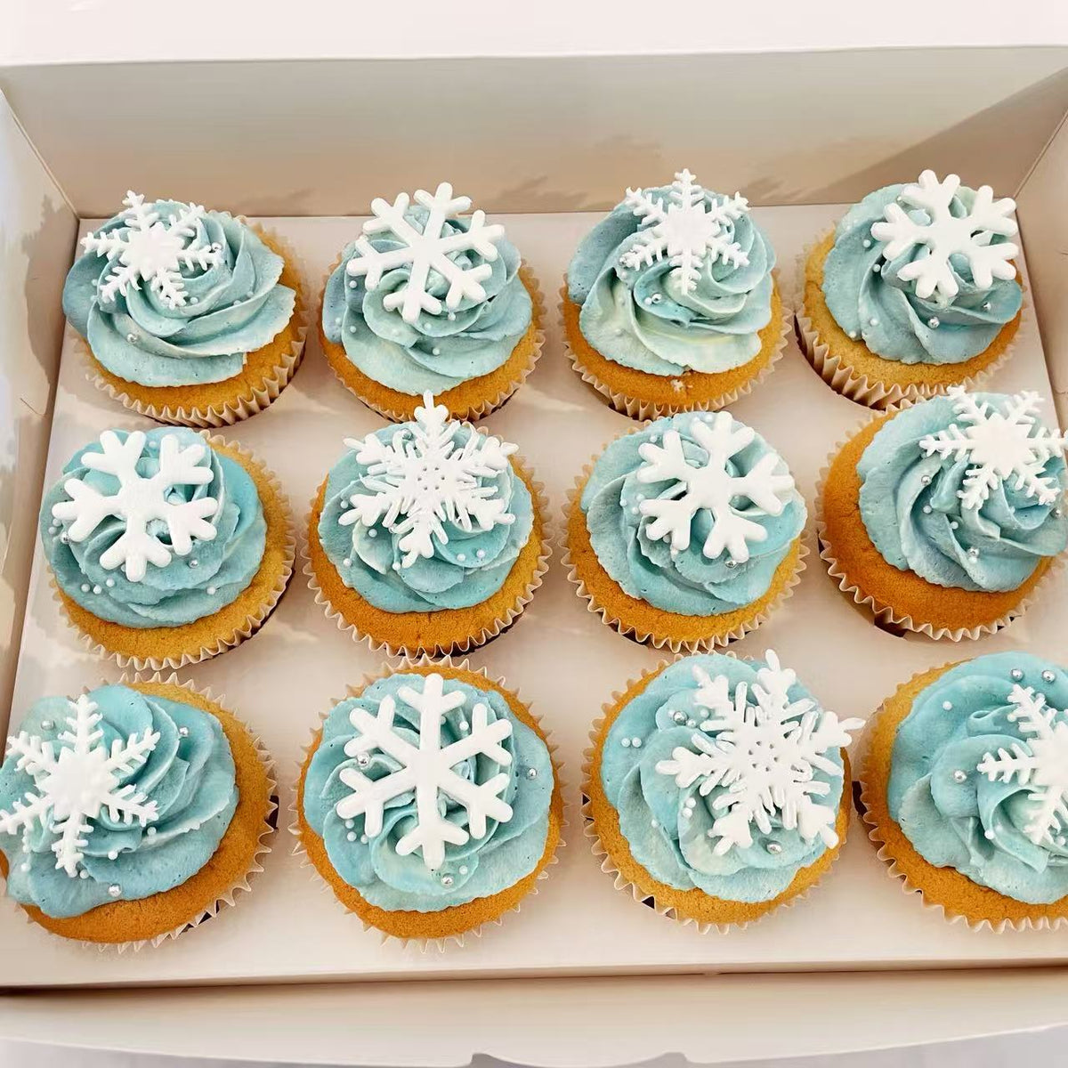 Frozen Cupcake